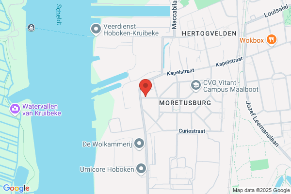 Dekkers P