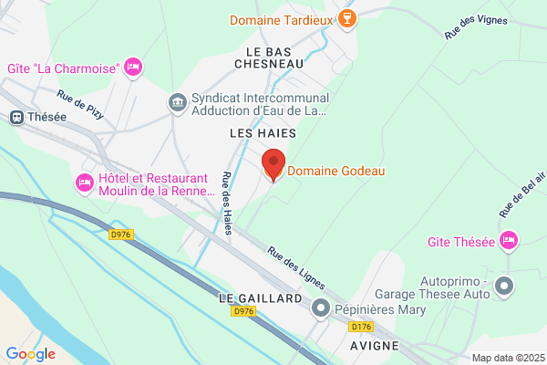 Godeau Micheline