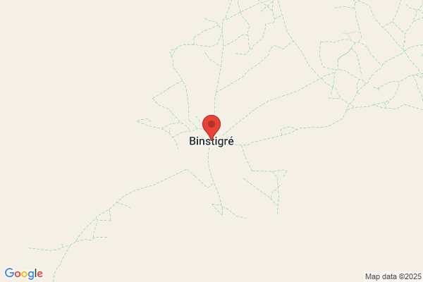 Bini/Ettore