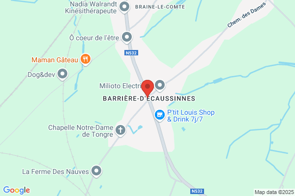 Leriche Management Et Consultance Sprl