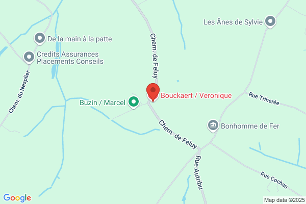 Bouckaert/Veronique