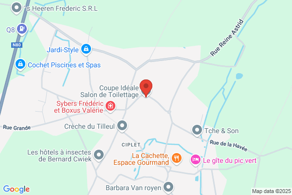 Coupe Idéale Salon de Toilettage
