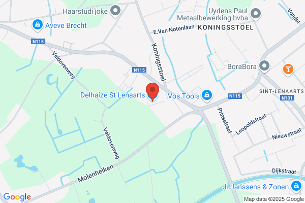 Delhaize Groep Nv