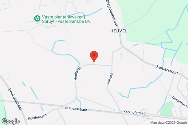 Heyvaert B