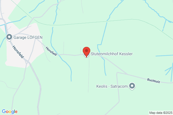 Kessler-Schneider/F.