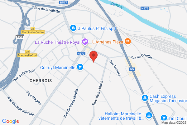 Le Figuier