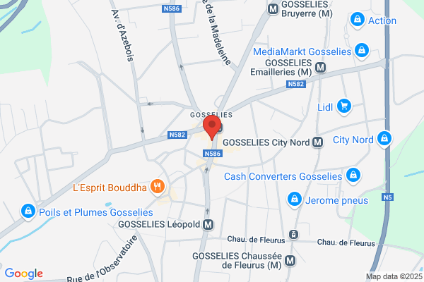 Croissant D'or (Le)