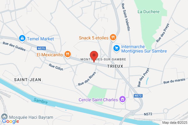 Ligue Francophone Belge De Natation