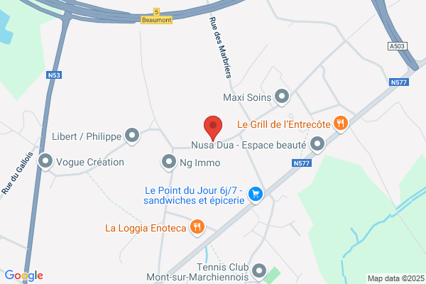Lemineur T