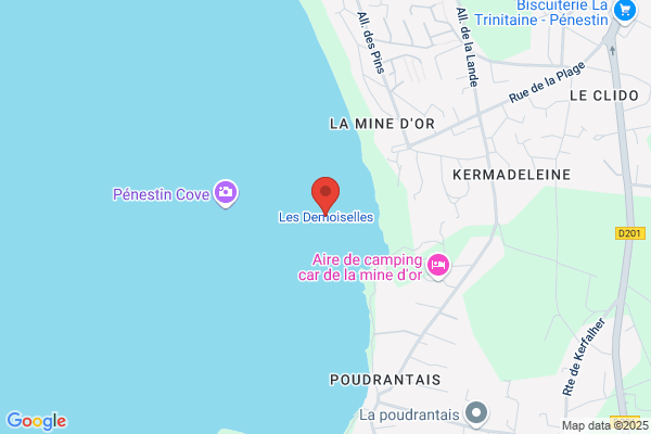 Les Demoiselles Des Mers