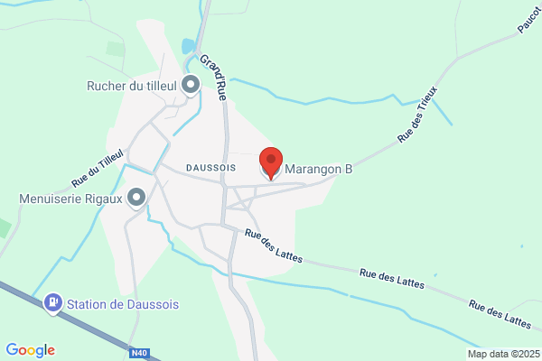 Marangon B.