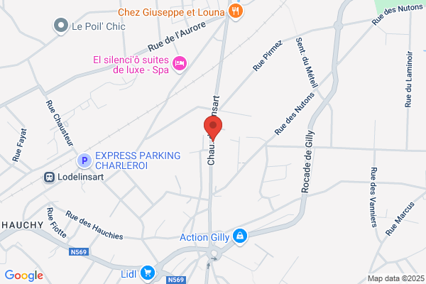 Lecouvet-Gustot