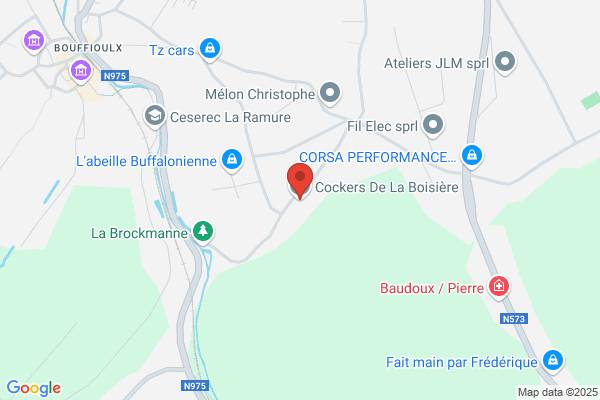 Cockers De La Boisière