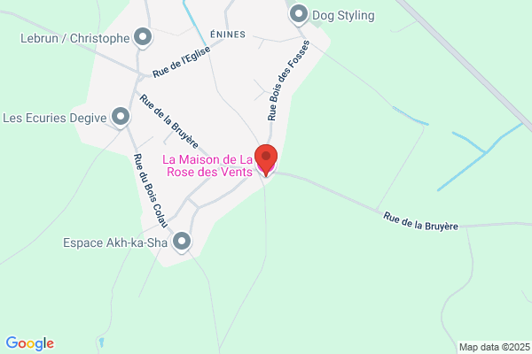 Rose Des Vents (La)