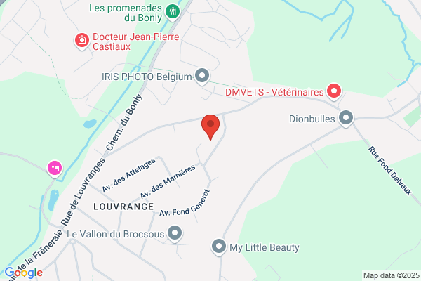 Scutnaire/Bernard