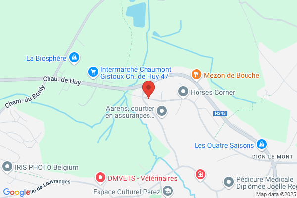 Maîtrise Du Charpentier (La)