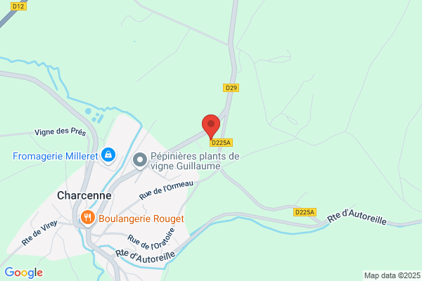 Vignoble/Jean-Claude