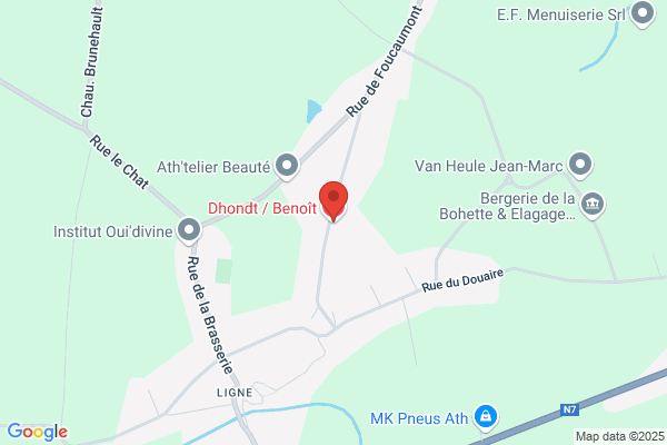 Dhondt/Benoît