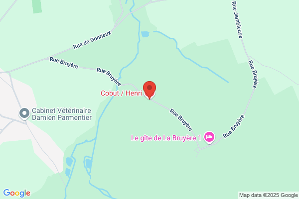Cobut/Henri