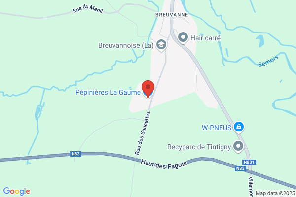Sylva Gaume Sprl
