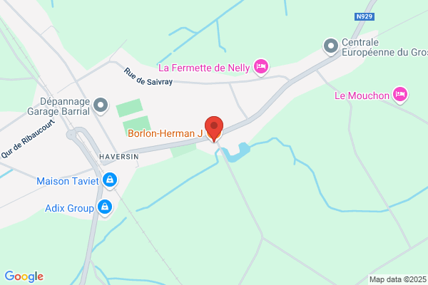 Borlon-Herman/J.