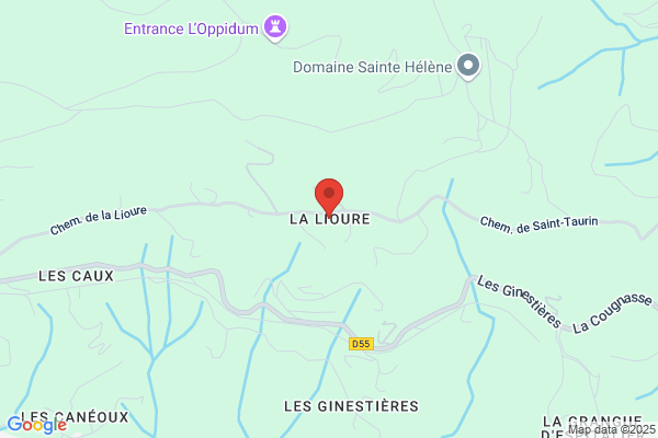 Leloup-Pairoux/C.