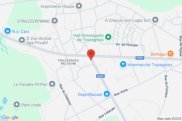 Fortis Trazegnies