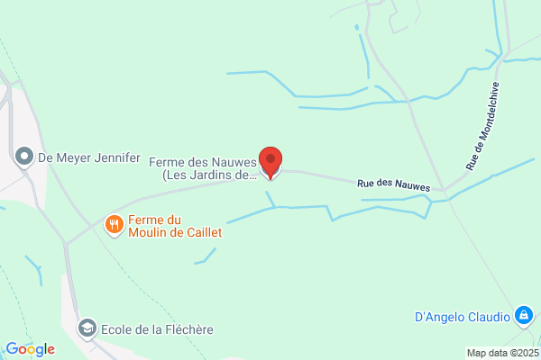 Nouwens A.