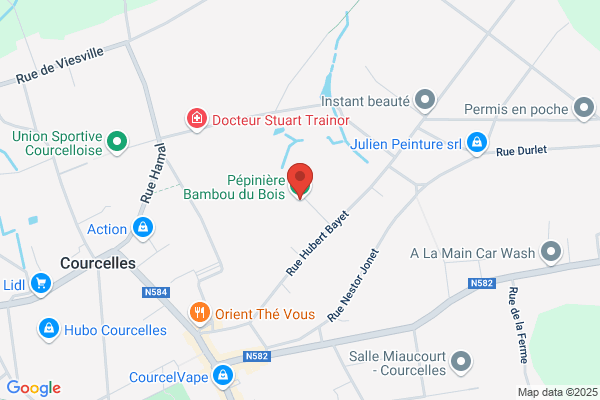 Bambou Dubois
