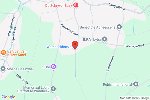 Hoeveke ('t)