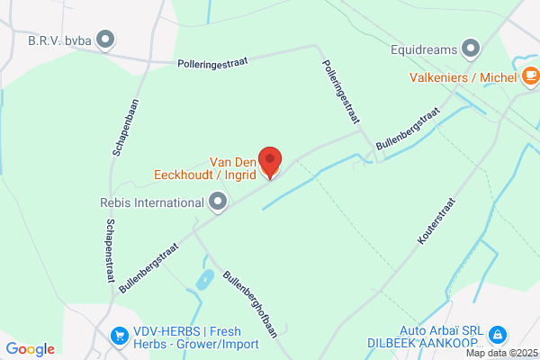 Van Houtven-Van Den Berghe/P.
