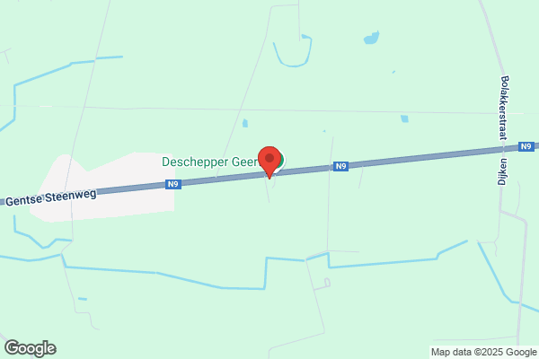 Sparrenwoud ('t)