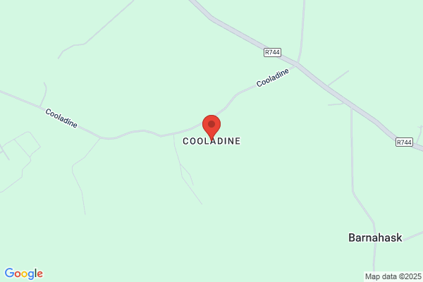 Cools/Nadine
