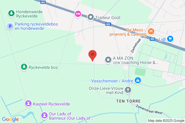 Van Loocke Anne