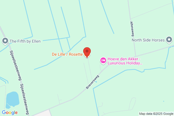 De Lille/Rosette