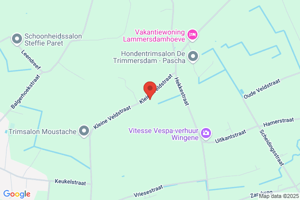 Verhaeghen Daan