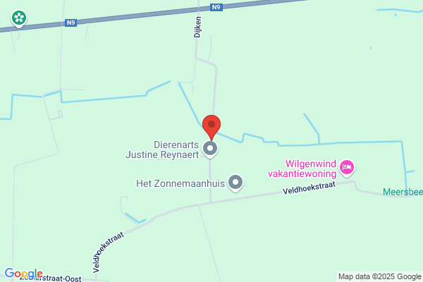 Steyaert P.