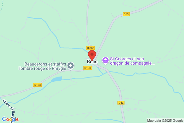 Belis L