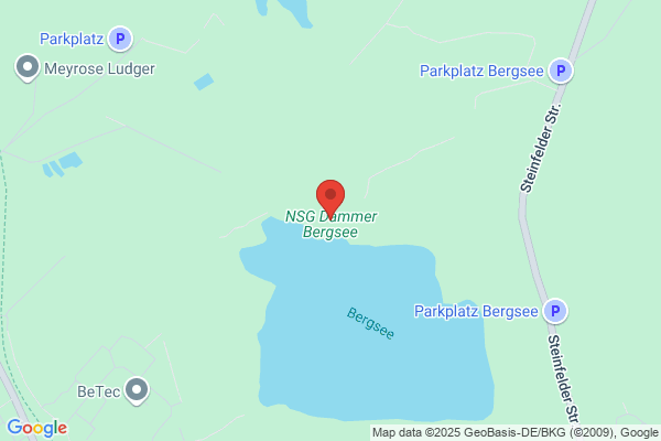 Res/Galjoen