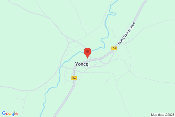 Yonal/Necdet