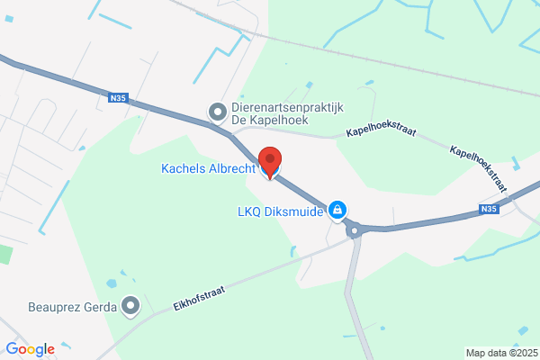 Kachels Albrecht