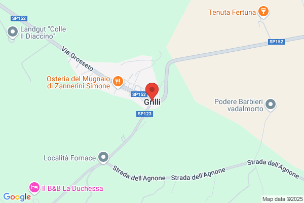 Grilli/Guerino