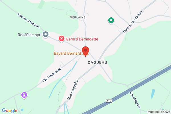 Bayard/Bernard