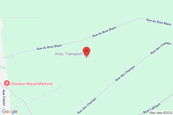 Transfadi