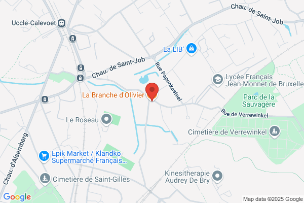 La Branche D'olivier