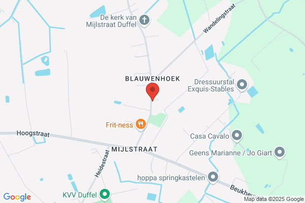 Van Den Wijngaert R