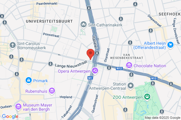 Voetgangersbeweging