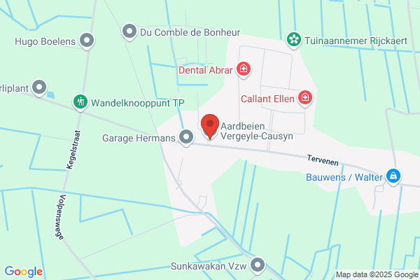 Buysse/Hubert