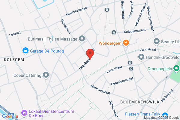 Van De Steene F