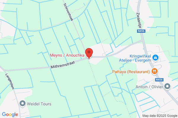 Meyns/Anouchka